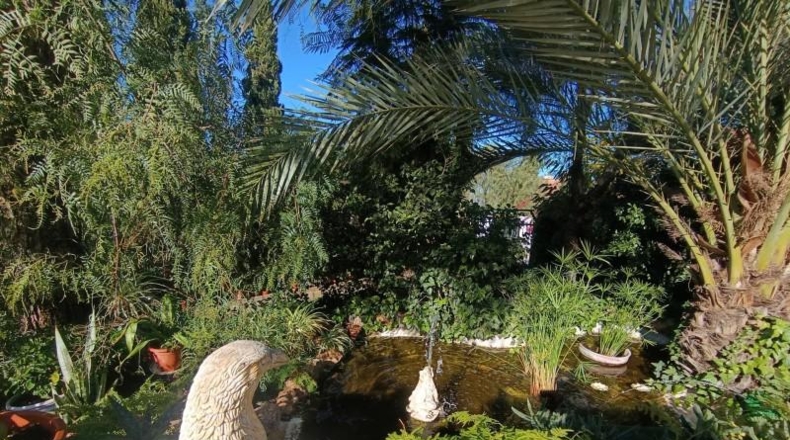 Murcia - Molina de Segura - 840m2