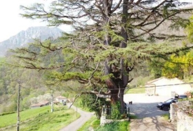 Llames 2500&nbsp;m²
