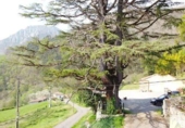 Finca rústica en venta en la España, Llames, ref: TR410001 foto