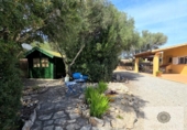 Detached villa with land for sale on España, Manacor, ref: TR406125 photo