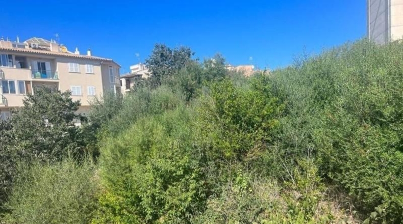 Balearic Islands - Alcudia - 468m2