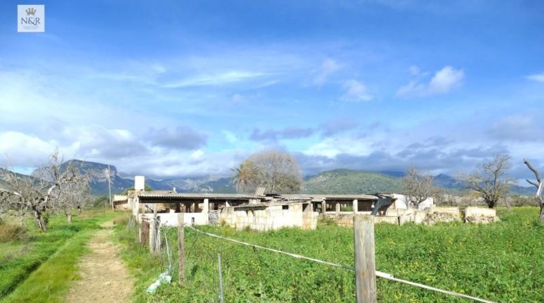 Illes Balears - Binisalem - 22950m2