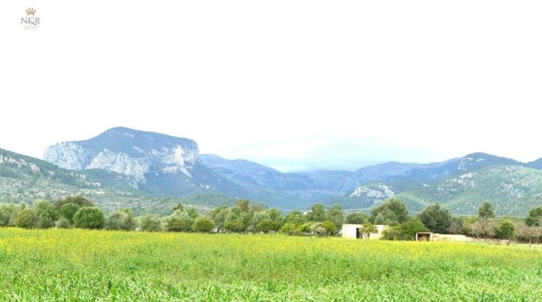 Illes Balears - Binisalem - 22950m2