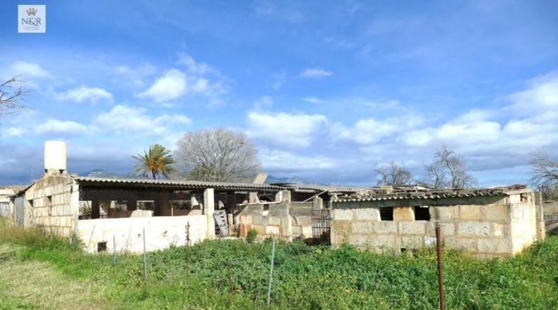 Illes Balears - Binisalem - 22950m2