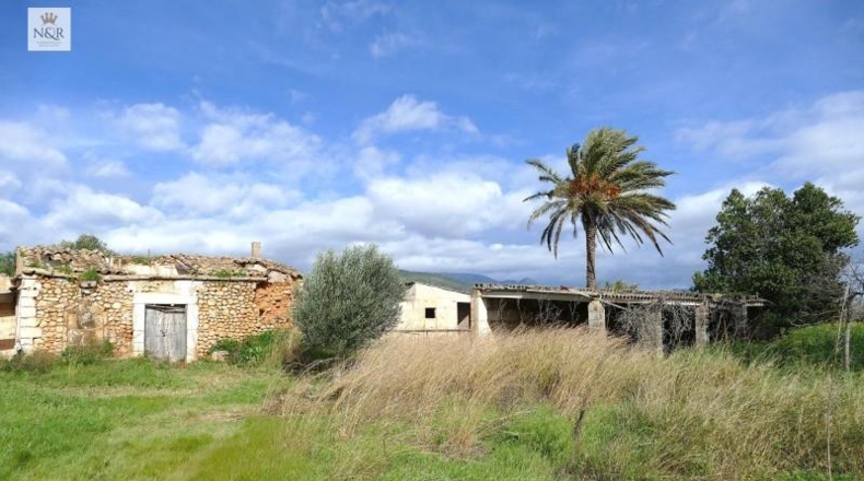 Illes Balears - Binisalem - 22950m2