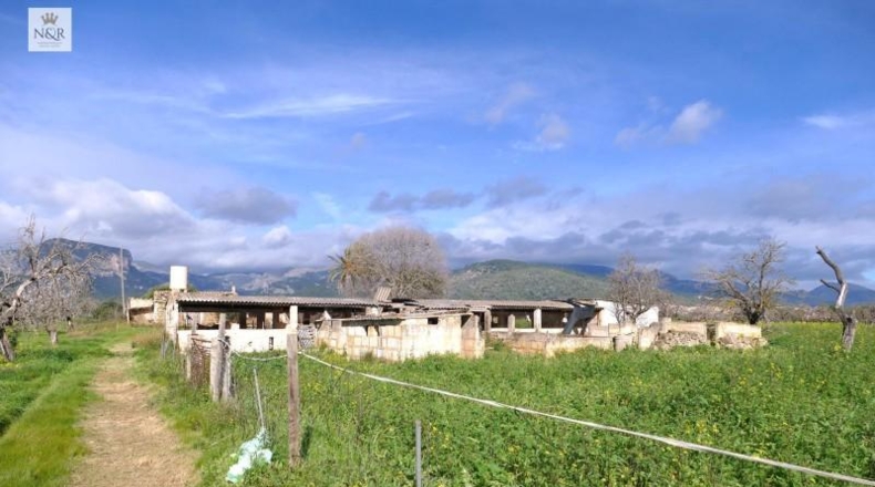 Illes Balears - Binisalem - 22950m2