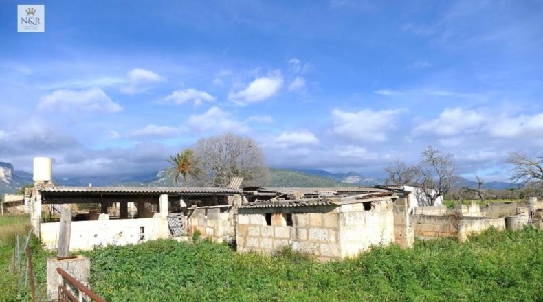Illes Balears - Binisalem - 22950m2