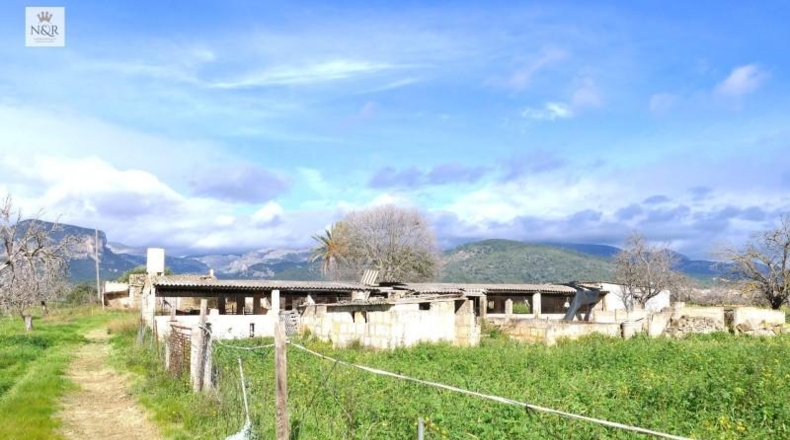 Illes Balears - Binisalem - 22950m2