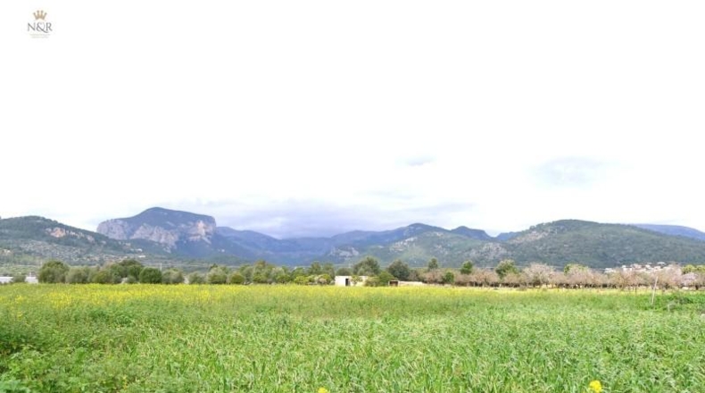 Illes Balears - Binisalem - 22950m2