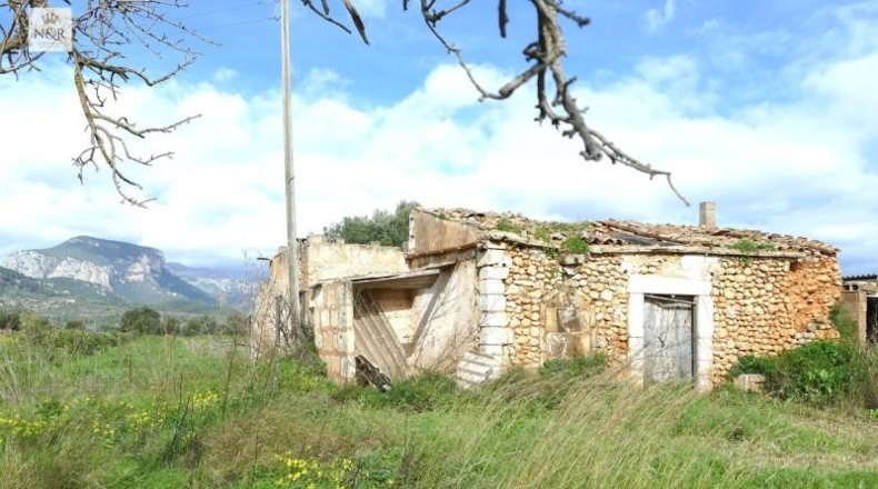 Illes Balears - Binisalem - 22950m2
