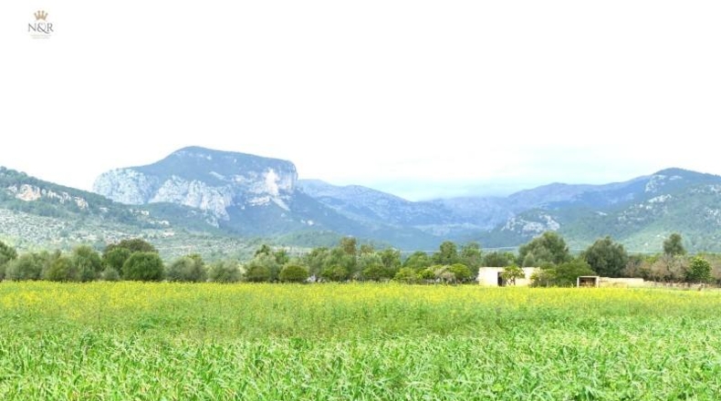Illes Balears - Binisalem - 22950m2