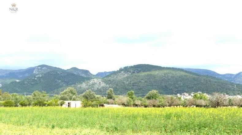 Illes Balears - Binisalem - 22950m2