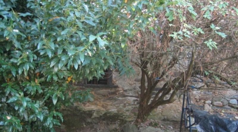 León - Cacabelos - 601m2