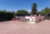 Chalet independiente con terreno en venta en la España, Elche, ref: TR387931 foto
