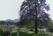Sòl urbà en venda a la España, Vigo, ref.: TR392213 foto
