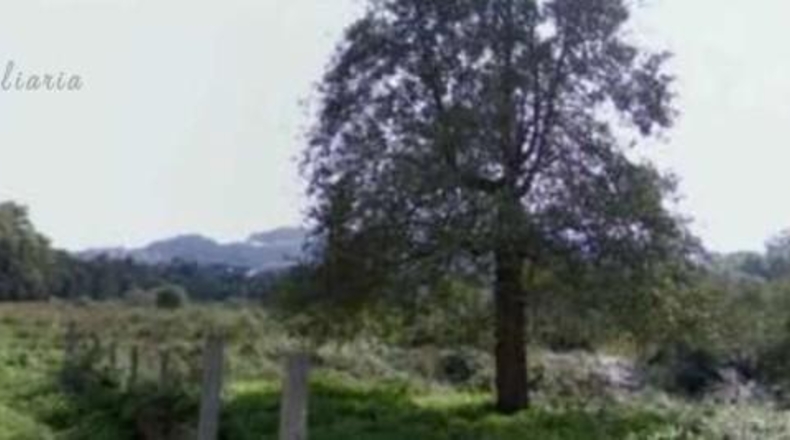Pontevedra - Vigo - 6854m2