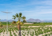 Xalet independent amb terreny en venda a la España, Algorfa, ref.: TR179953 foto