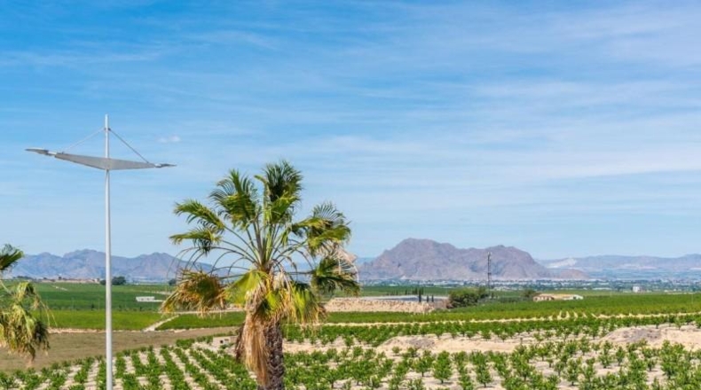 Alicante - Algorfa - 249m2