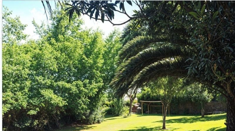 Pontevedra - Vigo - 1340m2