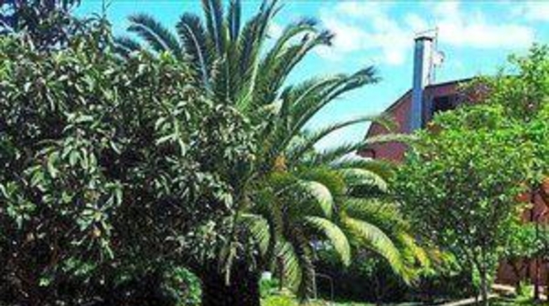 Pontevedra - Vigo - 1340m2
