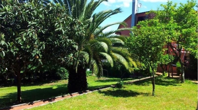 Pontevedra - Vigo - 1340m2