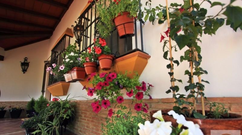 Cordova - Priego de Córdoba - 295m2