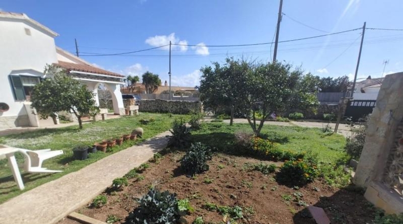 Balearic Islands - Alayor - 573m2