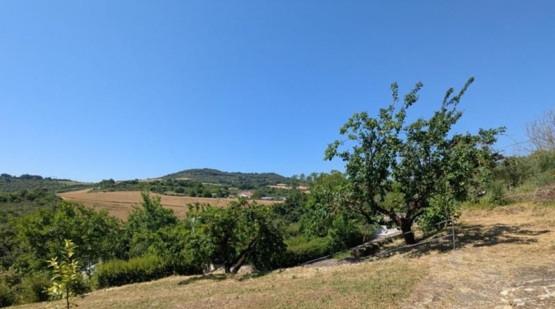 Navarra - Estella - 25000m2