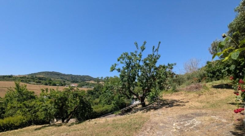 Navarra - Estella - 25000m2