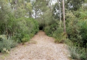 Non-developable land for sale on España, Sencelles, ref: TR363736 photo