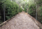 Non-developable land for sale on España, Sencelles, ref: TR363736 photo