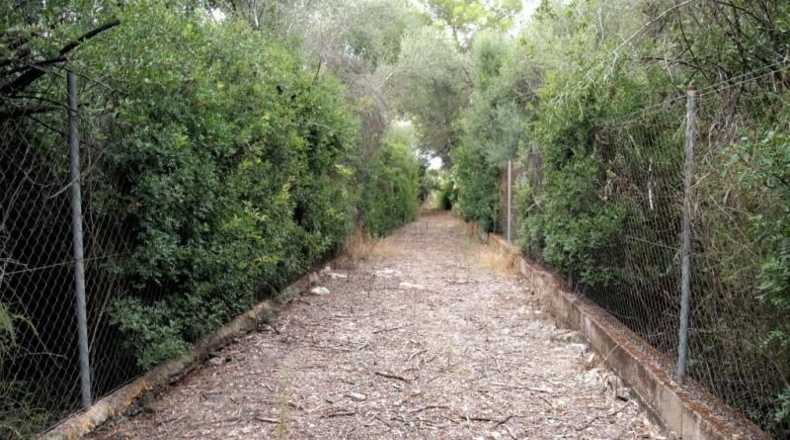 Illes Balears - Sencelles - 54000m2