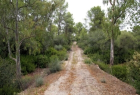 Sencelles 54000&nbsp;m²