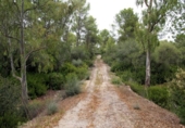 Non-developable land for sale on España, Sencelles, ref: TR363736 photo