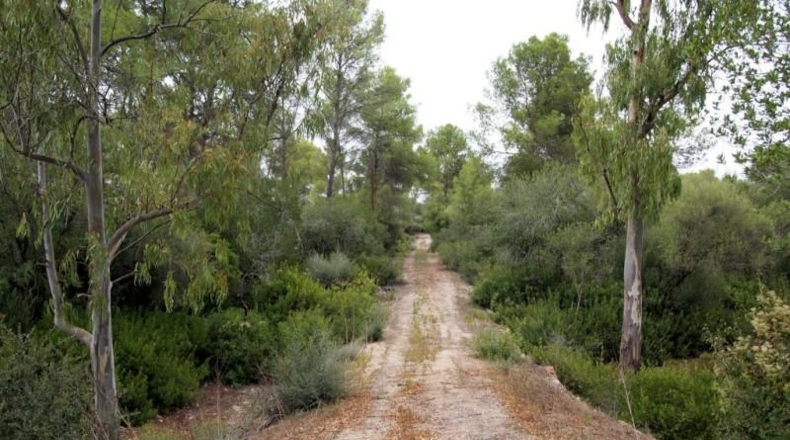 Illes Balears - Sencelles - 54000m2