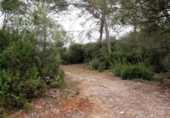 Non-developable land for sale on España, Sencelles, ref: TR363736 photo