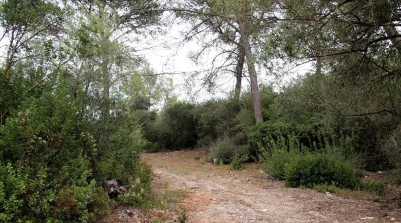 Illes Balears - Sencelles - 54000m2