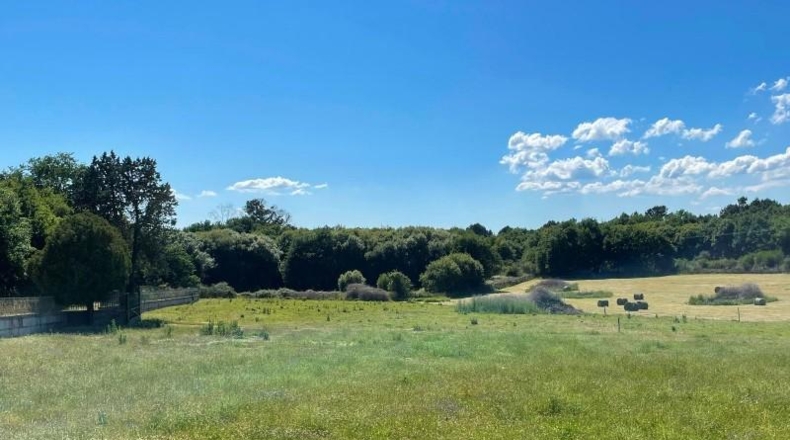 Orense - Amoeiro - 31000m2