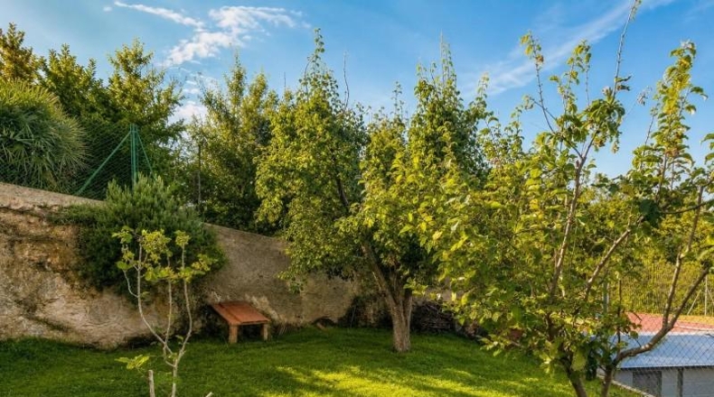 Valencia - Montroy - 844m2