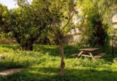 Chalet independiente con terreno en venta en la España, Montroy, ref: TR359810 foto