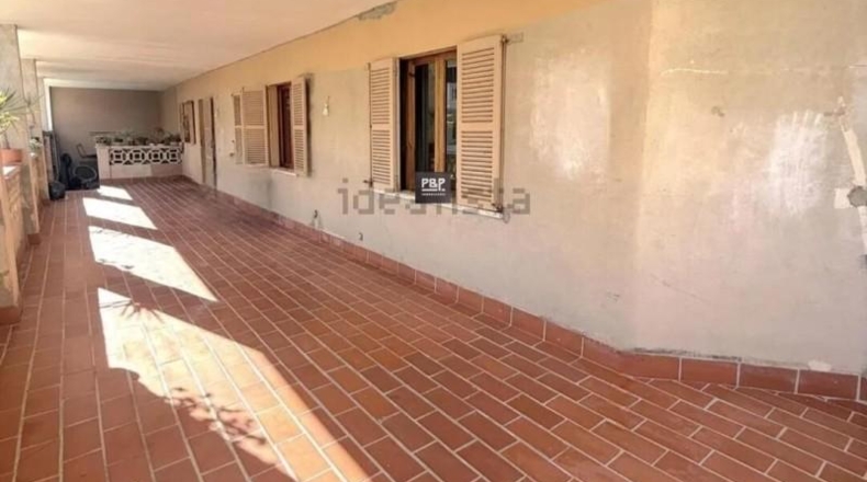 Islas Baleares - Palma - 314m2