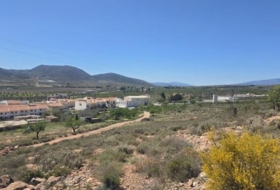 Foto 13