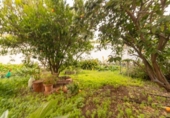 Chalet independiente con terreno en venta en la España, Las Palmas de Gran Canaria, ref: TR407312 foto