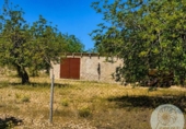 Casa de camp amb terreny en venda a la España, l'Ametlla de Mar, ref.: TR412839 foto