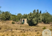 Casa de camp amb terreny en venda a la España, l'Ametlla de Mar, ref.: TR412839 foto