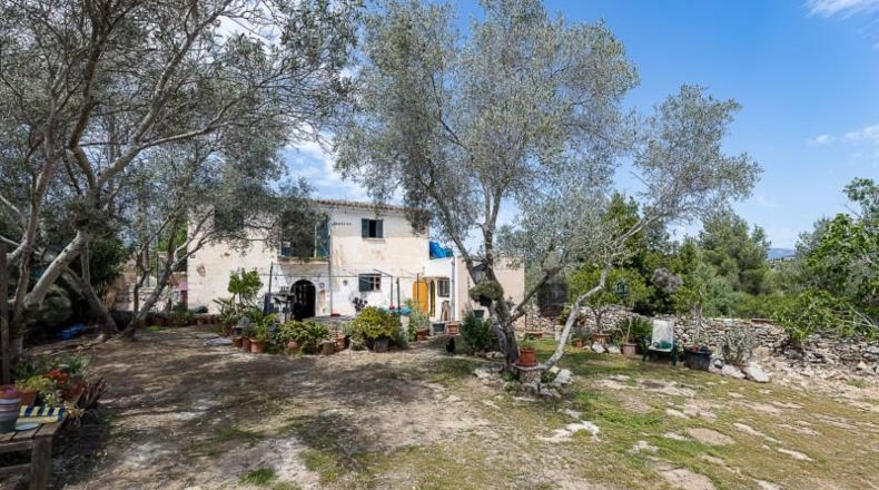 Balearic Islands - Palma - 1124m2