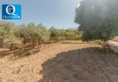 Chalet independiente con terreno en venta en la España, San Vicente del Raspeig, ref: TR411628 foto