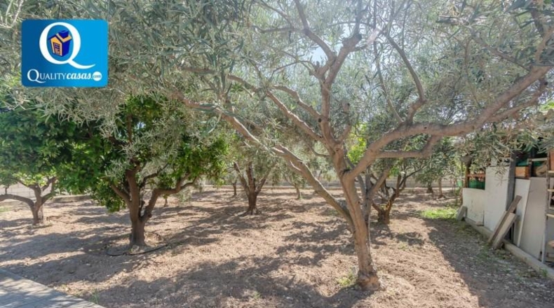 Alicante - San Vicente del Raspeig - 1900m2