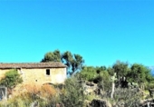 Chalet independiente con terreno en venta en la España, Binissalem, ref: TR136197 foto