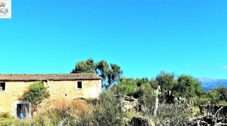 Islas Baleares - Binissalem - 44000m2